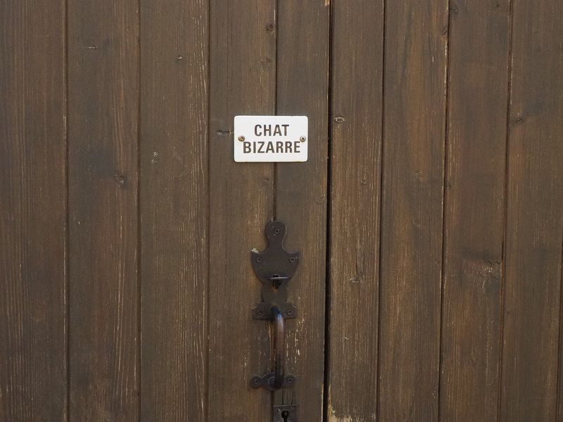 This gate has a 'bizarre cat' sign